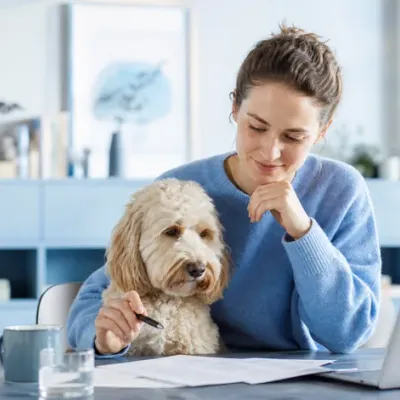 Hvad dækker en hundeforsikring? Komplet guide til dækning og undtagelser