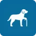 Ikon der illustrerer hundens alder som faktor i pris på hundeforsikring sygeforsikring