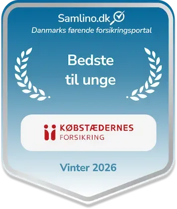 Købstæderne pris for anden pladsen for bedste til unge