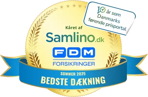 Artikels primære foto