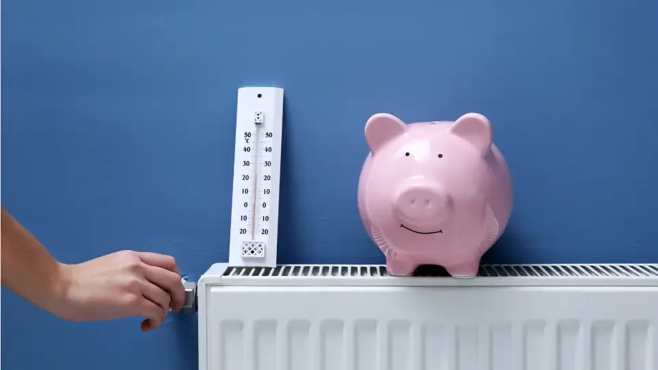 Artikels primære foto