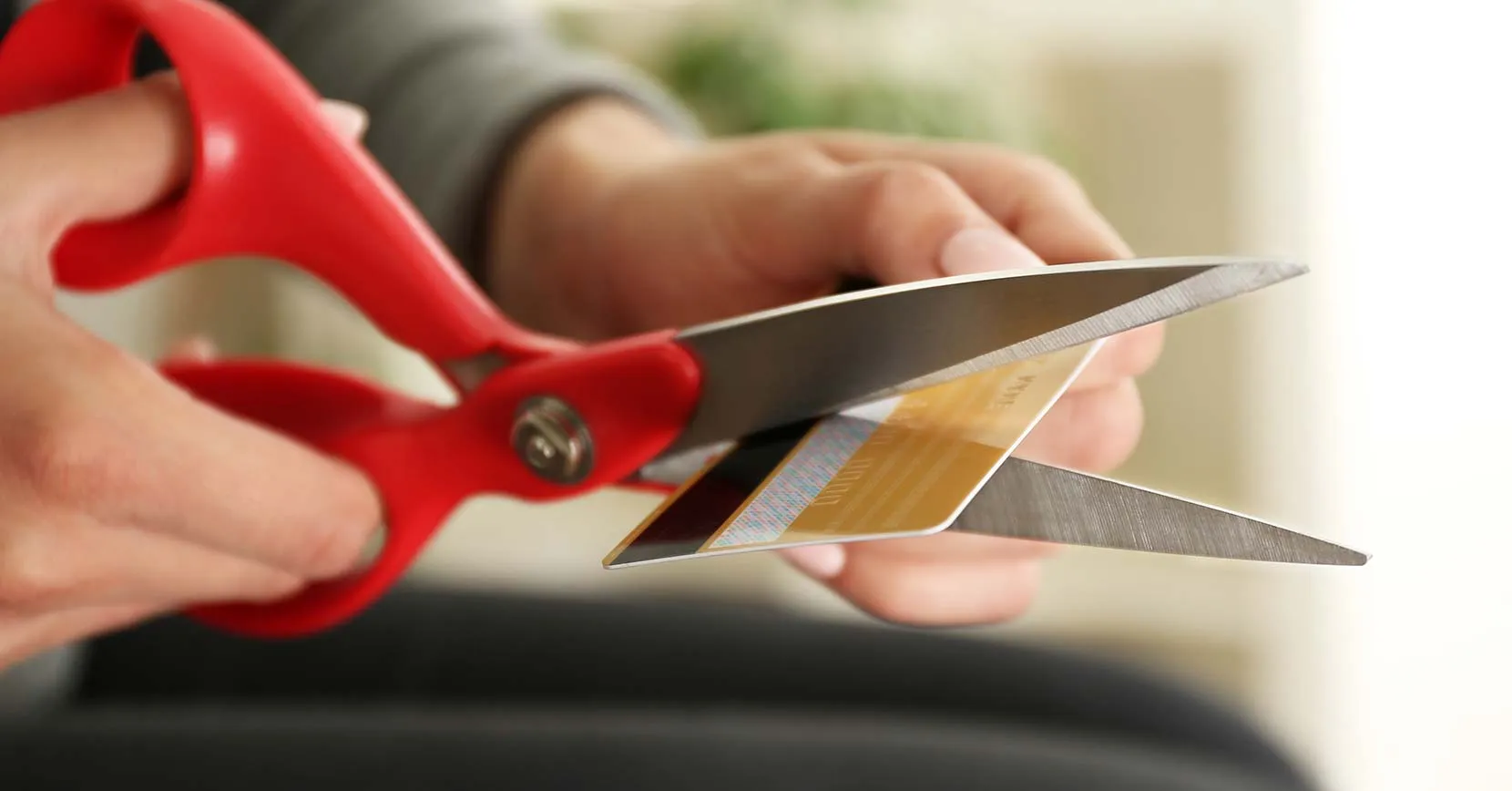 Artikels primære foto