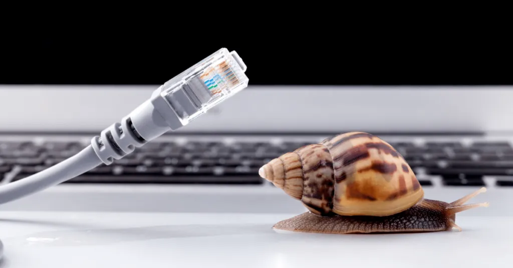 Artikels primære foto