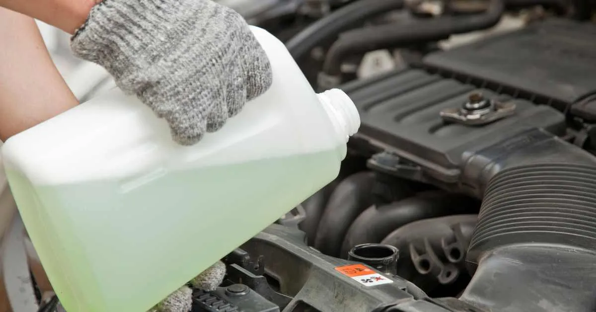 Artikels primære foto